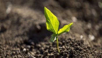 Centros de Competências afirmam-se como pilares da inovação agrícola e florestal – Sete estruturas alcançam classificação “Muito Elevado”