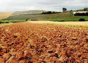 Iniciativa 3 - Mitigação das alterações climáticas