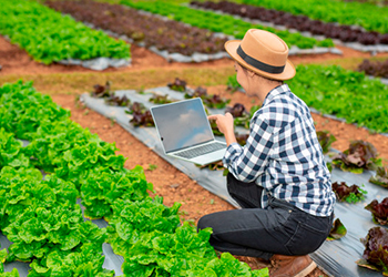 Iniciativa 8 - Agricultura 4.0