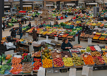 Iniciativa 1 - Alimentação sustentável
