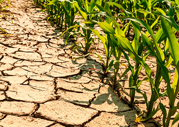 Iniciativa 4 - Adaptação às alterações climáticas