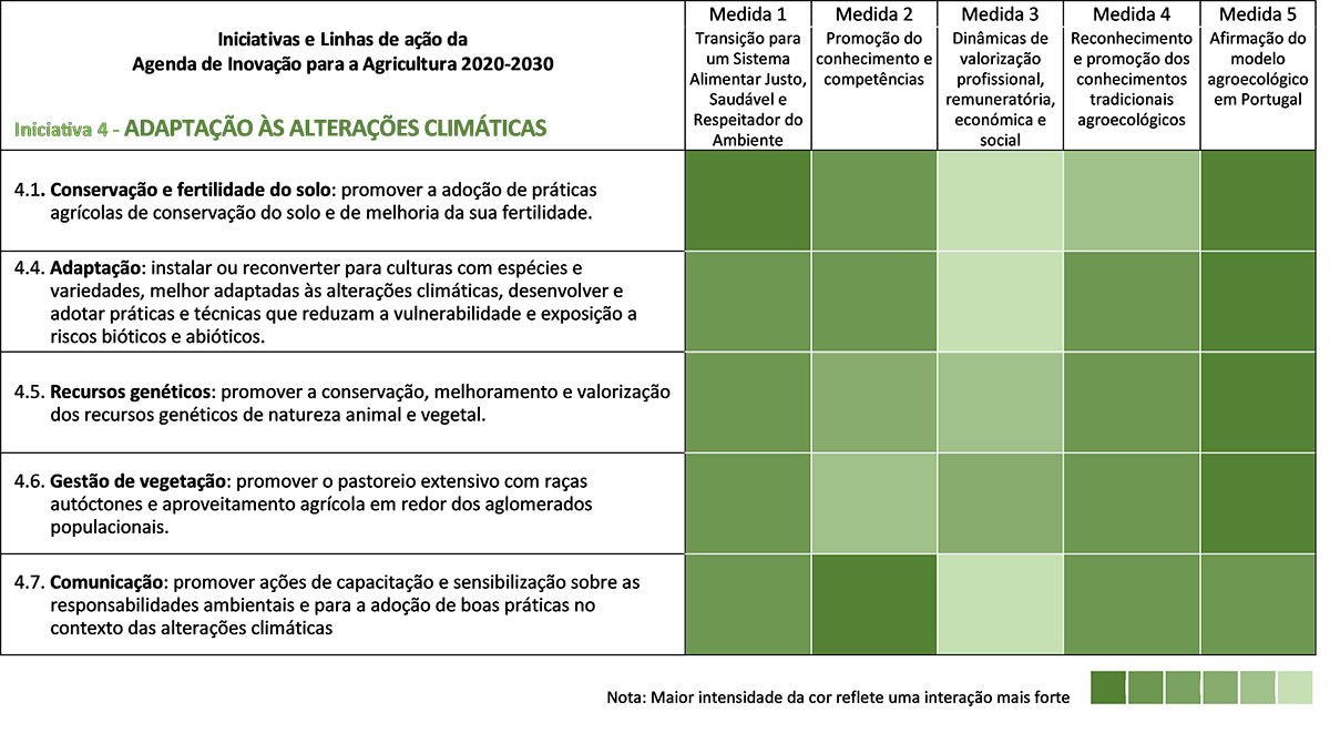 iniciativa4.jpg