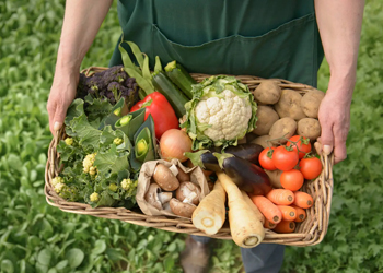 Iniciativa 9 - Promoção dos produtos agroalimentares portugueses