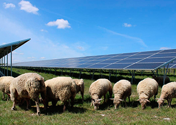 Iniciativa 11 - Transição agroenergética